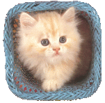 cosmiccat's Avatar