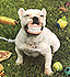 kre8t0r's Avatar