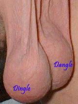 dingle_dangle's Avatar